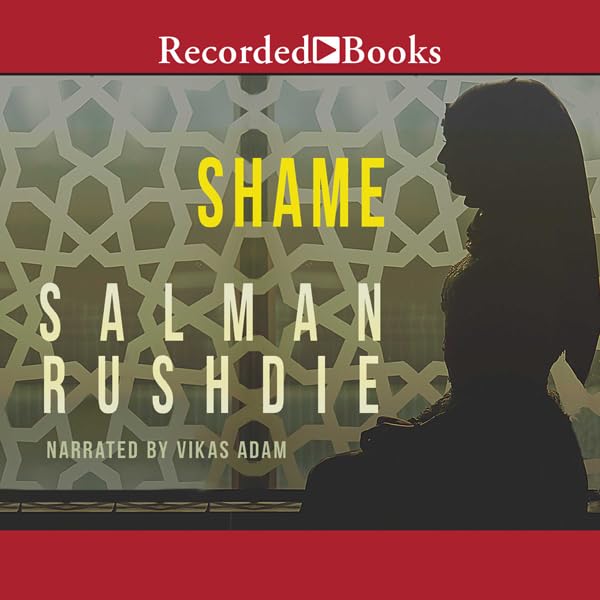 Cover art for Shame