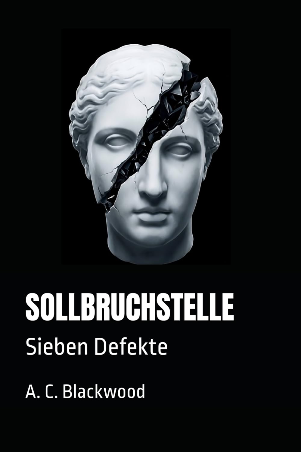 SOLLBRUCHSTELLE: Sieben Defekte