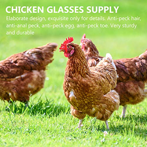 DOITOOL 41Pcs Pinless Peepers Frango Aves Blinders Peepers Com Ferramenta Alicate Alicate Definir An