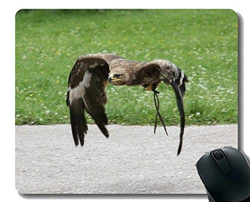 Preisvergleich Produktbild Mausunterlagen Besonders angefertigt, Tierbüro-Mausunterlage himmelnd