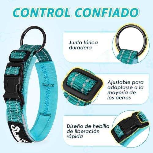 Collares para perros 17 Imagen adicional