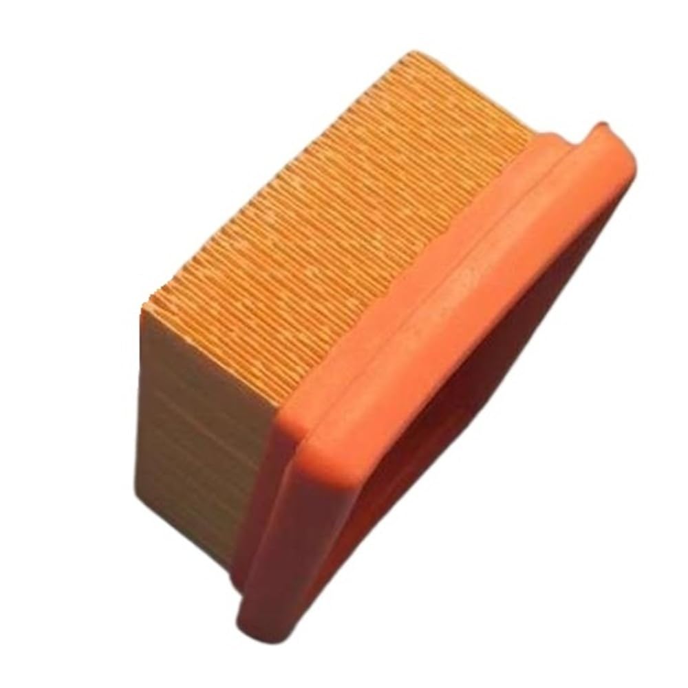 Filtre à air BR800C pour souffleur de feuilles - Pièce de rechange OEM 4283-141-030
