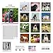 Pug Calendar 2026 by MegaCalendars – Monthly Dog Breed Wall Calendar, Made in USA