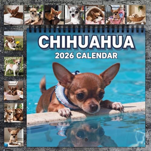 Chihuahua Kalender 2026, 21X21CM Niedlicher Chihuahua Wandkalender, Lustige Chihuahuas Wandplaner Kalender, Neuartige Chihuahuas Monatsplaner Ganze Familie, für Geschenkidee Hundeliebhaber