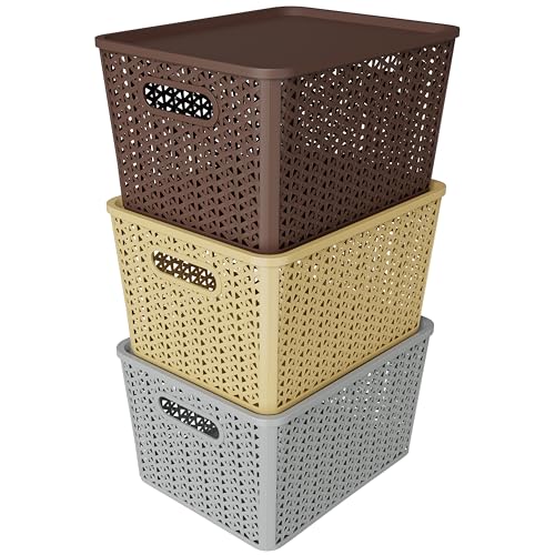Image of TEX-RO Big Storage Box and Organiser | Storage & Organizers | Organizer Storage Box for Kitchen, Clothes | Durable Storage Basket With Lid & Plastic Basket for Storage (Pack of 3, multicolor)