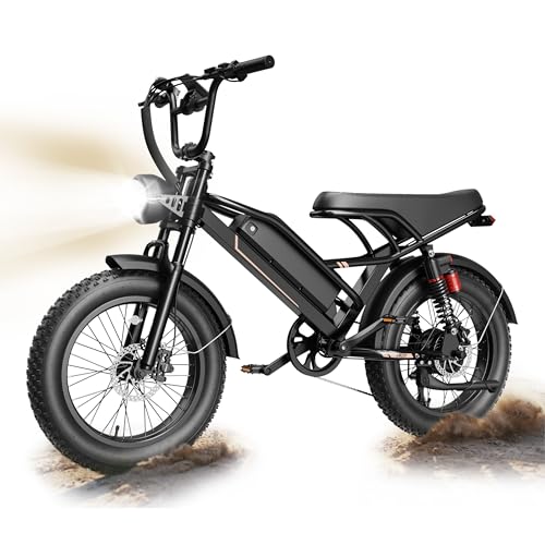 SYFTLLSJY 2000W Peak Large Electric Bike for...