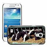 Grand Phone Cases
