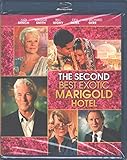 The Second Best Exotic Marigold Hotel