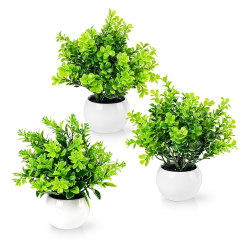Il set di piccole piante artificiali non è solo ideale come regalo, ma abbellisce anche la tua casa come decorazione per il bagno, in soggiorno o sul posto di lavoro. Ovunque le piante vere siano difficili da coltivare, le piante artificiali riempiono la stanza con colori piacevoli