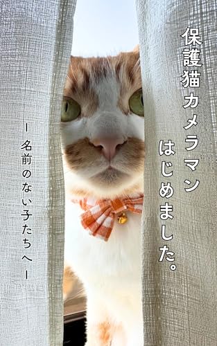 保護猫カメラマン はじめました。: 〜名前のない子たちへ〜