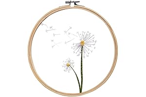 Ochine Embroidery Kit for Beginners: Transparent Embroidery Kit for Artistic Expression
