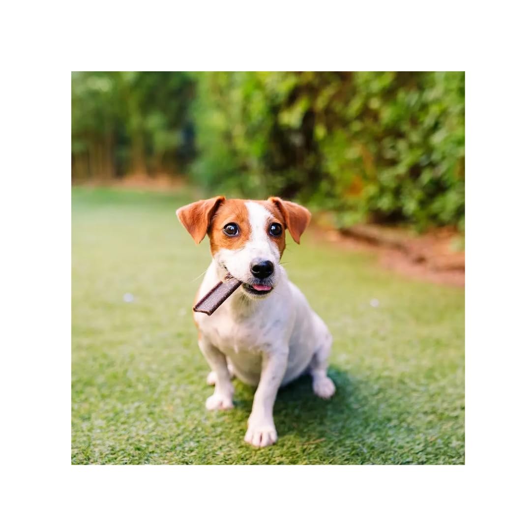 VeggieDent S | Kaustreifen für kleine Hunde | 3 x 224 g | Vegetarisch | Virbac | Ergänzungsfuttermittel | Zur Unterstützung der täglichen Zahnpflege und Maulfrische | Vegetarisch | 3er Pack