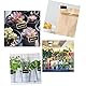 RXKFIGX 50 Stück Holz Kreidetafel Klein Mini Kreidetafel Set Mini Tafel Memotafel Mit Klammer Mini Tafeln Zum Beschriften Hölzern Mini Tafeln mit Klipp Home Hochzeit Party Dekoration Kräutertöpfen