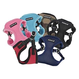Puppia dog harness comfort mesh step in all season no pull no choke walking training adjustable neck  chest for small  medium dog  navy  s   cucciolini doodles