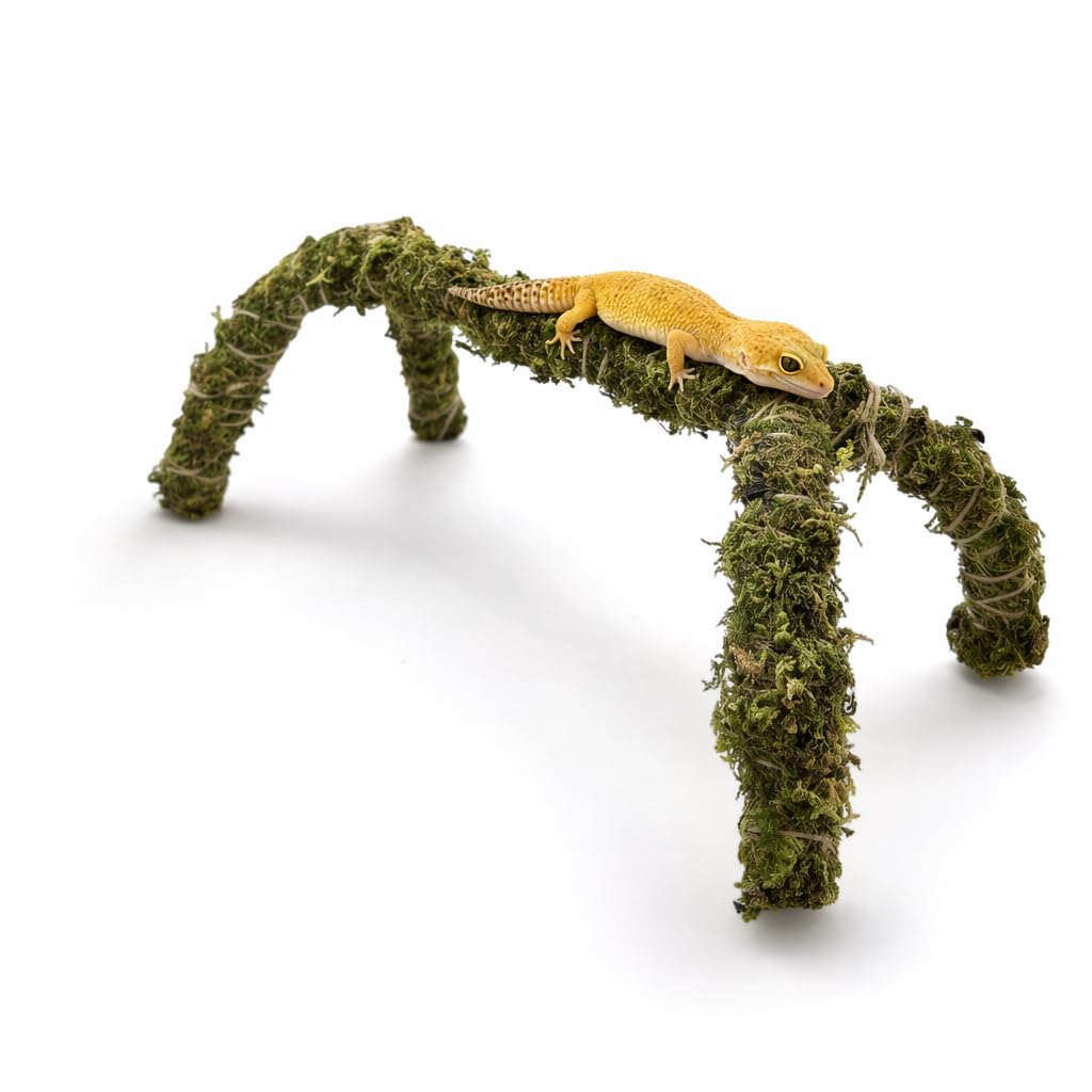 Gecko Tank Accessories, Leopard Gecko Tank Accessories, Crested Gecko Tank Accessories, Vivarium Decoration for Natural Climbing Structures, Humidity Maintenance in Reptile Habitats, Single Moss-Cover