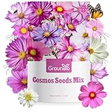 Groundio Cosmos Seeds Wildflower Mix, 1 Oz, 3,000+ Seeds, 4 Varieties Flowers Seeds for Planting (Radiance, Purity, Pinkie, Picotee), Open Pollinated Bulk