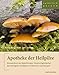 Produktbild Apotheke der Heilpilze: Kompendium der Mykotherapie: Einsatzmöglichkeiten der wichtigsten Vitalpilze in Prävention und Therapie