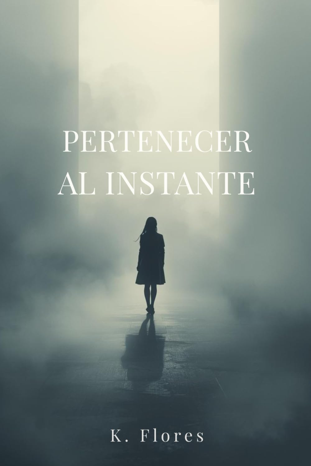 Pertenecer al instante: Historias de una búsqueda que nunca salió como imaginé