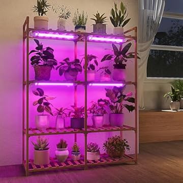 Illuminate Your Space with These Indoor Plant Stands for Succulents 1 best indoor plant stand with lights for succulents
