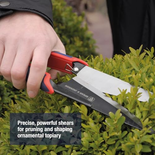 Tijeras para Topiaria Spear & Jackson 13" x 3.5" miniatura 3