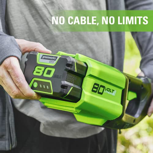 Image of Greenworks PRO 80V 5.0Ah Lithium-Ion Battery (Genuine Greenworks Battery / 75+ Compatible Tools)