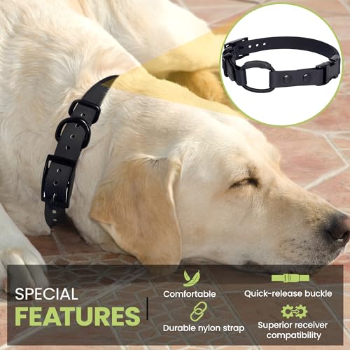 Image of 3 /4 inch e-Collar Bungee Collar Strap, Waterproof (Red 3 /4 inch)