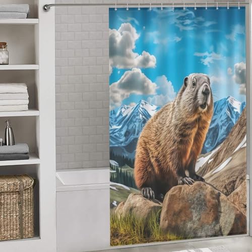 Rideau de douche marmotte pour éviter les éclaboussures dans la pièce