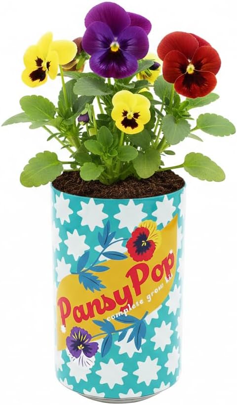 BUZZY Seeds Flower Grow Kit 6-Pack – Pansy, Lavender & Daisy Soda Cans with Seeds, Growing Medium & Liners – Fun DIY Indoor Gardening Party Favors & Gift Set
