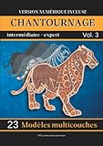  Chantournage spécial multicouches: 23 modèles de 2 à 11 pièces pour exercer votre talent. Intermédiaire et expert.