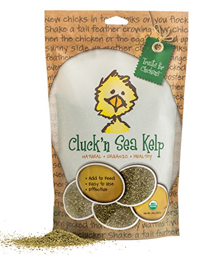 Treats For Chickens Certified Organic Cluck'N Sea Kelp, 2-Pound, Vitamin Supplement