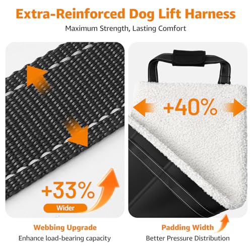 Image of LOOBANI Dog Sling for Large Dogs Hind Leg Support, Portable Dog Lift Harness for Back Legs, Comfortable Leg Support Assistance for Elderly Dogs with Hip, ACL Brace, Senior, Injured