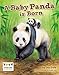 Produktbild A Baby Panda is Born (Engage Literacy: Engage Literacy White)