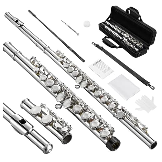 POGOLAB Flutes, Closed Hole C 16 Keys Flute Instrument, Student Flute for Beginner Advanced Player, with Cleaning Kit, Carry Bag, Strap, Probe Rod, Gloves (Nickel)