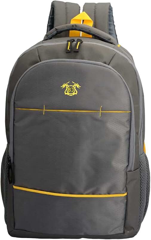 Amazon.in college bags for girls under 300