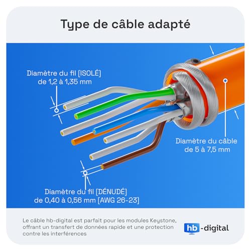 hb-digital 12x Module Keystone RJ45 CAT 6a Prise Réseau 10 Gbit/s STP Blindé AWG 22-24 Connexion LSA Sans Outil pour Câble Ethernet LAN, Panneau de Brassage et Prise Murale – vue 3
