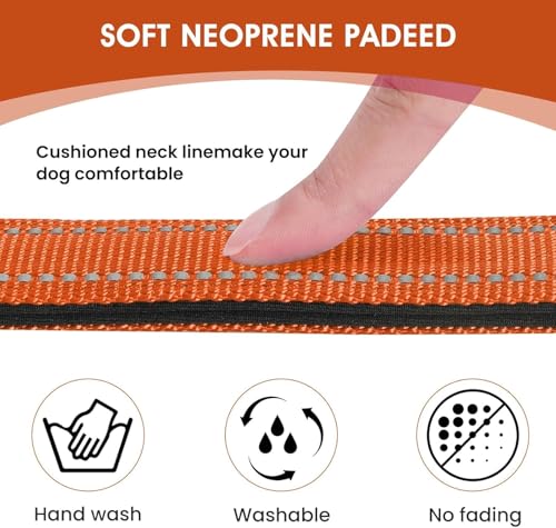 Image of Petology Reflective Adjustable Dog Collar for X-Large Dogs (50-60 cms) | Soft Neoprene Padded Nylon Pet Collar with Safe & Quick Release Buckle | Comfortable, Lightweight & Durable