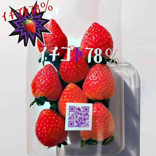 早く見つけて〜!!甘い!美味しい!と巷で噂の苺をいっぱい食べてる人程食べてほしい とちおとめ260g×4パック | いちご 苺 イチゴ 約 1キロ フルーツ おいしい トチオトメ 取り寄せ お取り寄せ ギフト 贈答 贈り物 プレゼント 茨城県 古河市_FE01 ※2025年12月下旬頃より順次発送予定