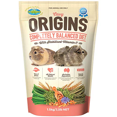 ferret food