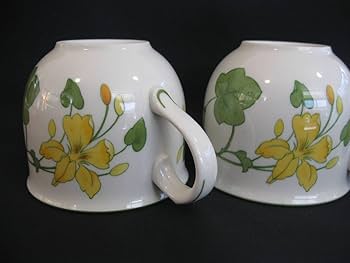 Amazon.co.jp: ビレロイ&ボッホ「ゼラニウム 」カップ＆ソーサー 2客