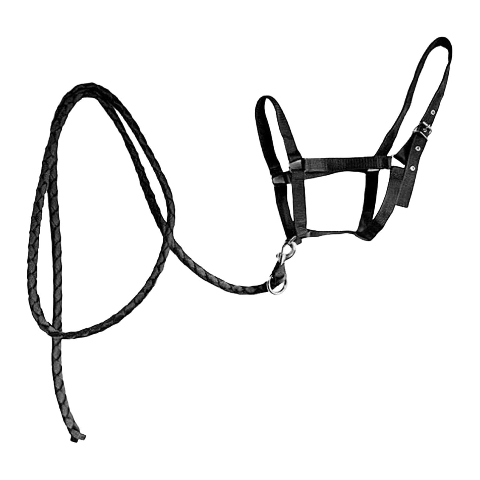 LOVIVER Cavezza per Cavallo con Redine Imbracatura Regolabile in Nylon Durevole Attrezzatura per Equitazione con Comfort Superiore Adatta a Raduni E