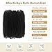 Afro Kinkys Bulk Human Hair for Dreadlocks Extensions 2 Bundles 80g Afro Kinky-curly Human Braiding Hair Bundles for Mini Twist Repair Locs (Natural Black, 12Inch)