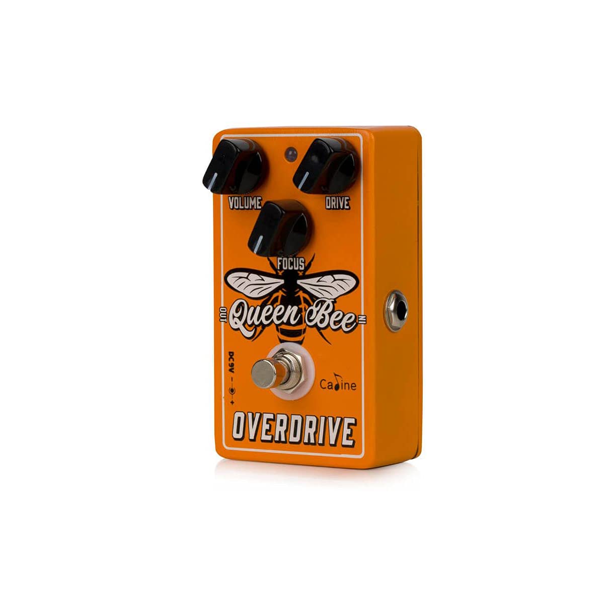 Caline CP-503 Queen Bee Overdrive - Overdrive Pedale