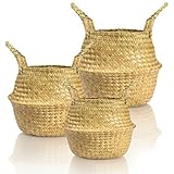 MANYOND Seagrass Plant Basket with Handles Set of 3 - Woven Belly Basket Planter with Liner for Indoor Plants, Olive Tree, Monstera, Snake Plant, Faux Tree, 8' 9' 10' 12 Inch Pots, Boho Floor Basket