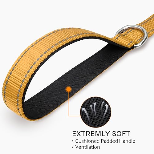 Joytale Hundeleine Kleine Hunde Leicht, Doppelseitig Reflektierende Leine Hund aus Nylon mit Gepolstertem Griff, 1,5m x 2cm, Braun