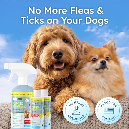 Image of BugMD Flea and Tick Spray for Dogs - Kills & Repels on Contact | Plant-Powered Treatment for Home, Furniture and Carpet - Makes 32 oz | Starter Kit