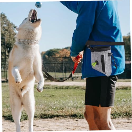 INOOMP Guloseimas Para Treinamento De Animais De Estimação Bolsa De Treinamento Para Cães Bolsa De L