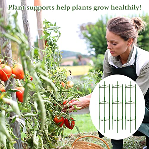 Legigo 4Ft 4-Pack Tomato Cage For Garden Plant Support- Up To 48Inch Garden Stakes Tomato Cage, Tomato Trellis For Potted Plants, Tomato Cages Plant Stakes For Climbing Vegetables Plants Flowers #TOP7