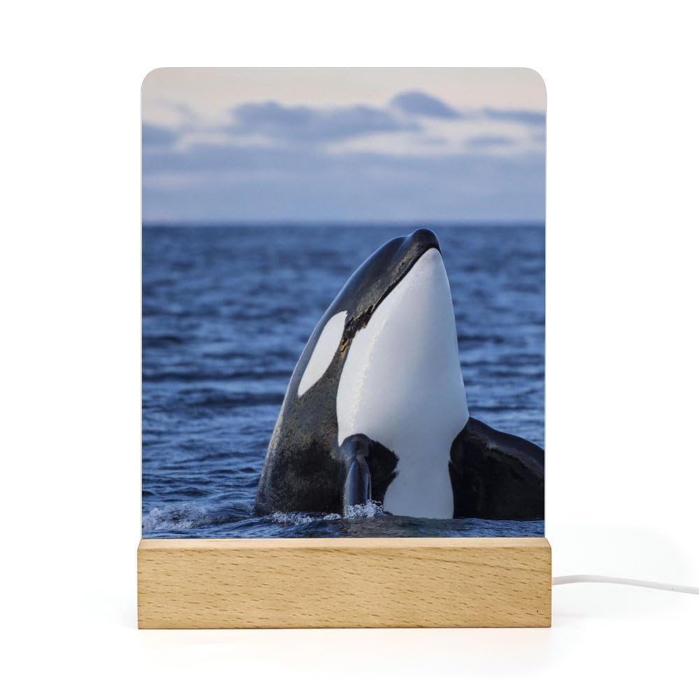 Cmagnifico Style-7 Acrylic Night Light,Killer Whales Orca, Usb Port, Gift For Friends, Family, Lovers