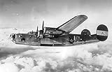 Home Comforts B-24 with Nose Art She Devil Consolidated B-24D-30-CO Liberator 42-40123 in Flight, 1944 Vivid Imagery Laminated Poster Print-20 Inch by 30 Inch Laminated Poster