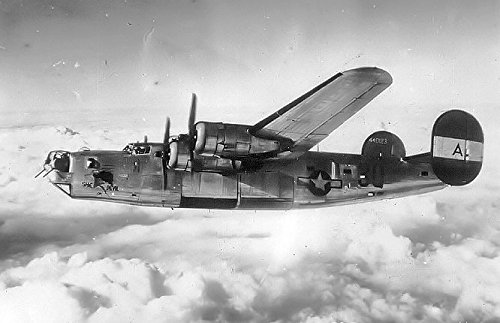 Home Comforts B-24 with Nose Art She Devil Consolidated B-24D-30-CO Liberator 42-40123 in Flight, 1944 Vivid Imagery Laminated Poster Print-20 Inch by 30 Inch Laminated Poster